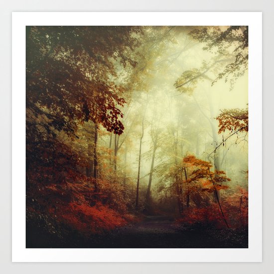 That's not my way - misty woodland Art Print