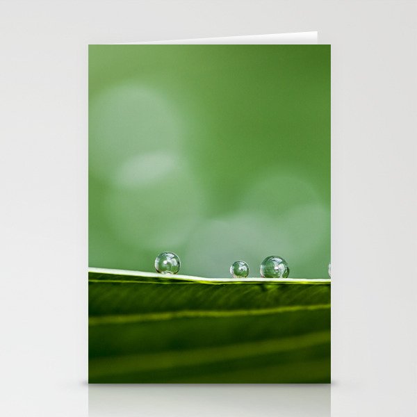 in a row Stationery Cards