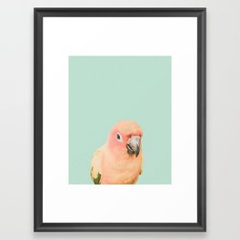 Birds of Paradise - pastel blue Framed Art Print