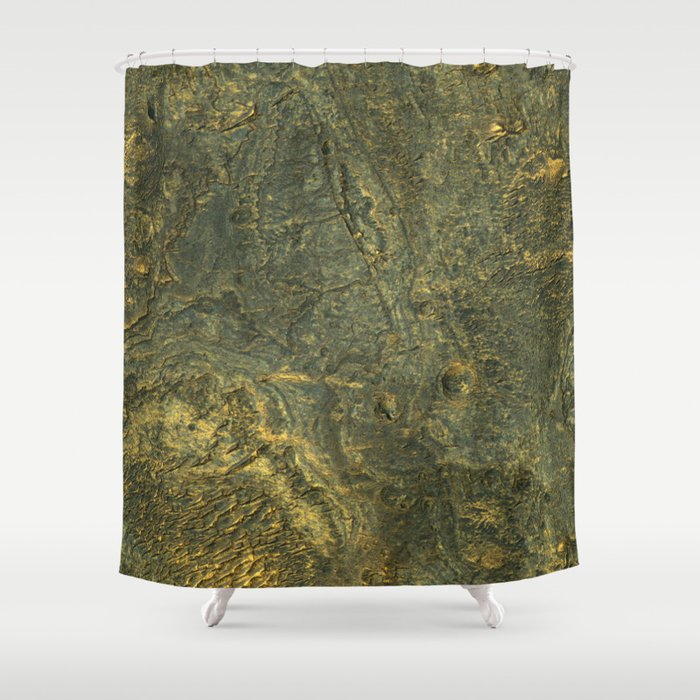 golden scales of the dragon ares | space 014 Shower Curtain
