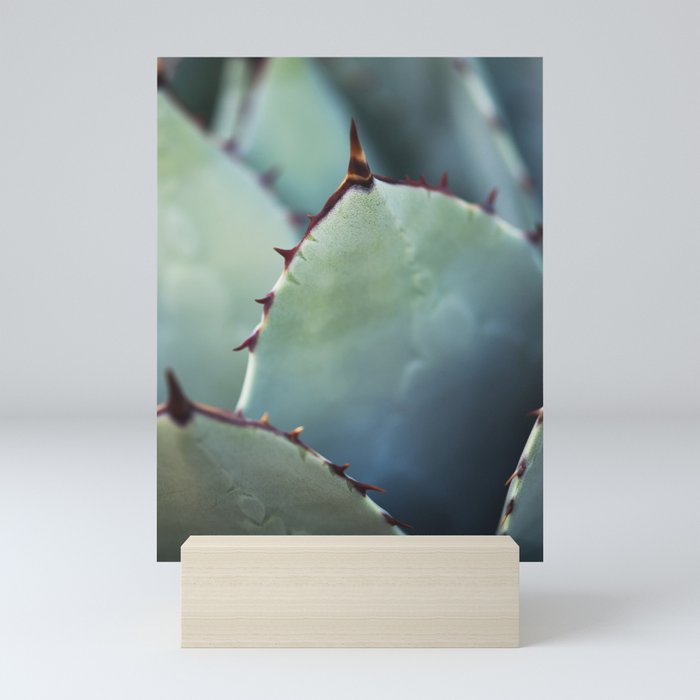 Agave Plant II Mini Art Print