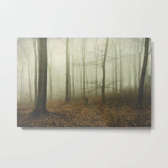the forest i call home Metal Print