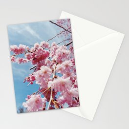 Cherry Blossom 1  Stationery Cards