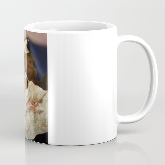 Explore Life Coffee Mug