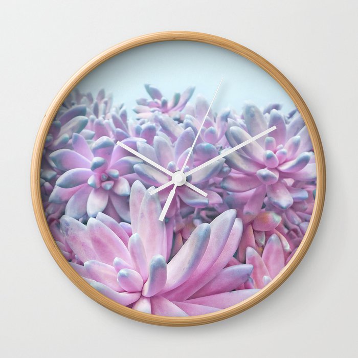 Sweet Succulents Wall Clock