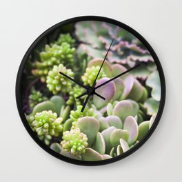 Blushing Succulents Wall Clock