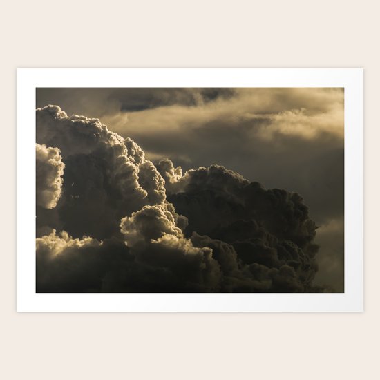 Plume Art Print