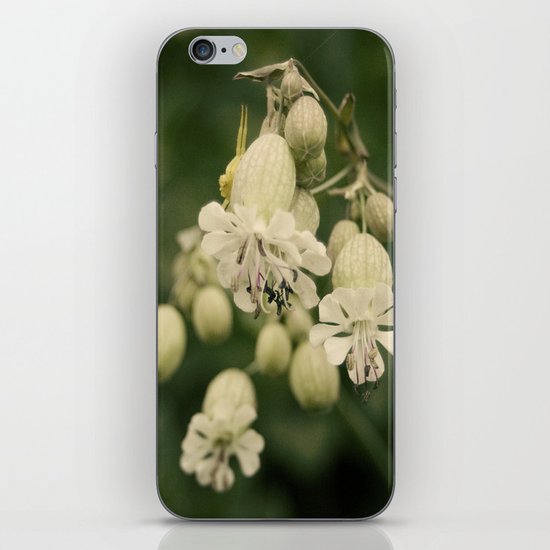 primavera iPhone & iPod Skin