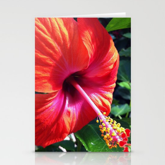 Red Beauty Stationery Cards