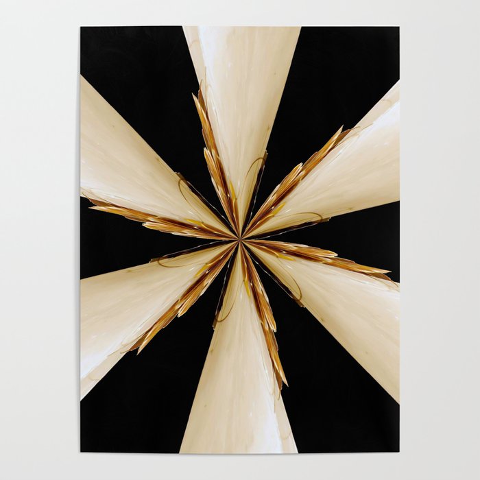 Black, White and Gold Star Poster