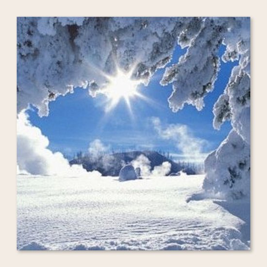 nature Canvas Print