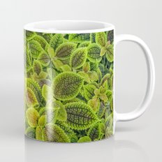 Friendship plant coffe mug by photosbyhealy