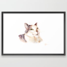 Smiling Cat Framed Art Print