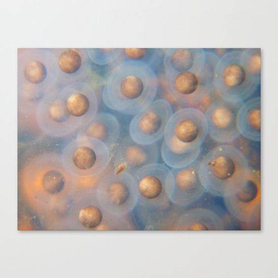frog eggs Canvas Print