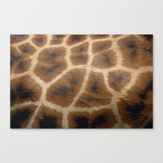 Giraffe Skin Canvas Print