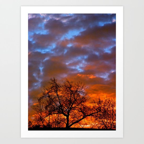Winter Sunrise Art Print