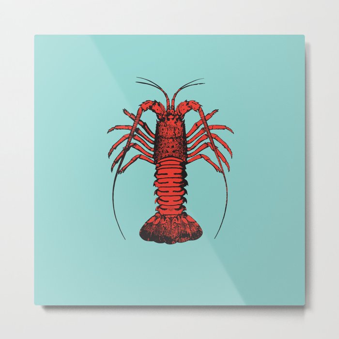Spiny Lobster Metal Print