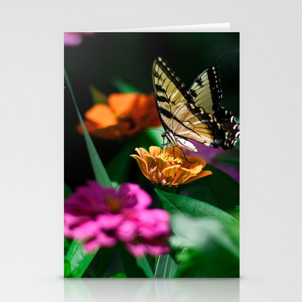Beautiful Butterfly Stationery Cards