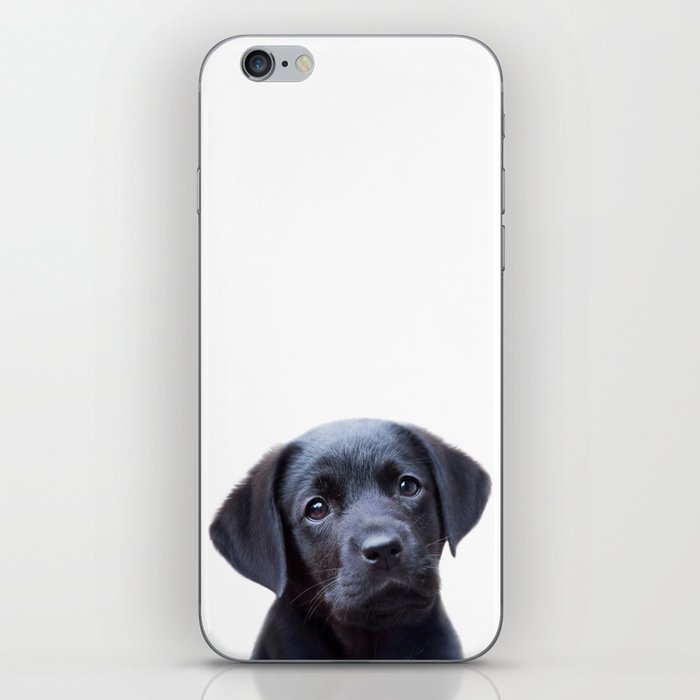 Puppy Black Labrador, Kids Art, Baby Animals Art Print by Synplus iPhone Skin