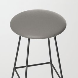 Behr Paint Elephant Skin Gray PPU18-16 Trending Color 2019 - Solid Color Bar Stool