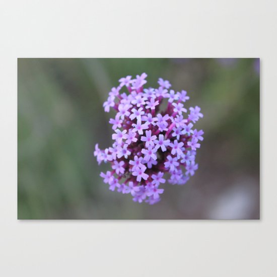 Purple Rain Canvas Print