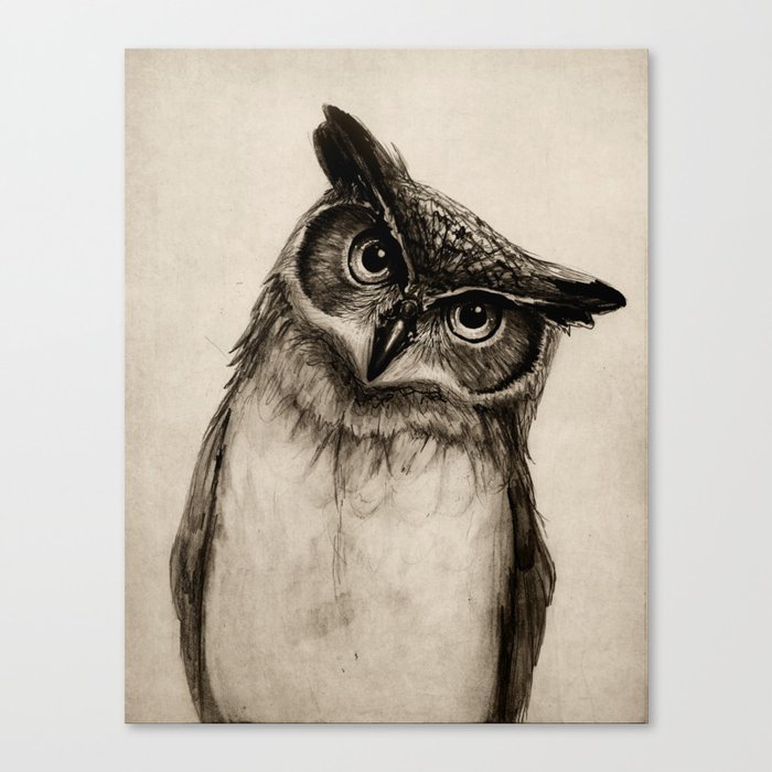Owl Sketch Canvas Print