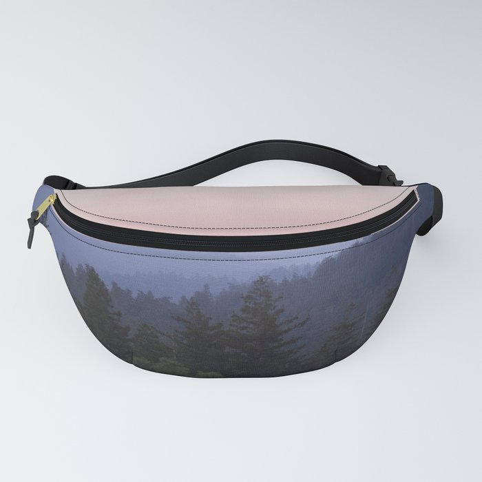 santa cruz fanny pack