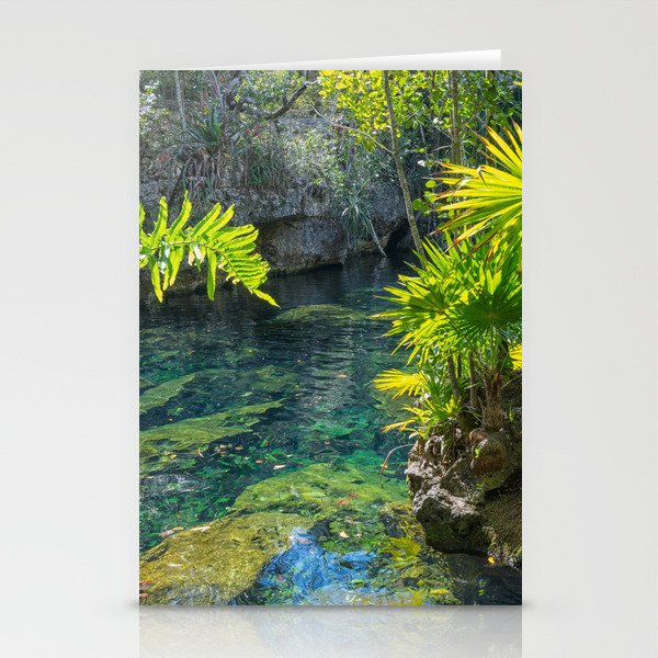 Mexico Photography - Beautiful Oasis In The Mexican Nature Stationery Cards