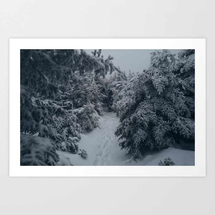 Wintery trail Art Print