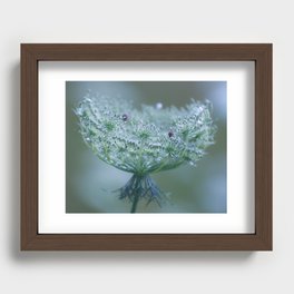 Wild carrot Recessed Framed Print