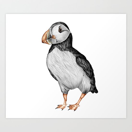 Little Puffin Art Print