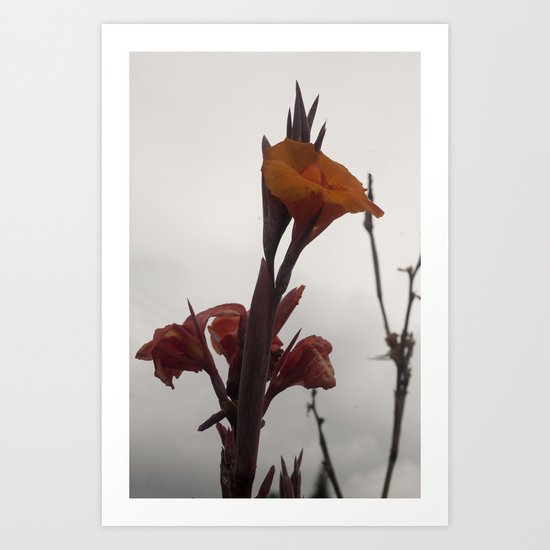 "Desolate" Art Print