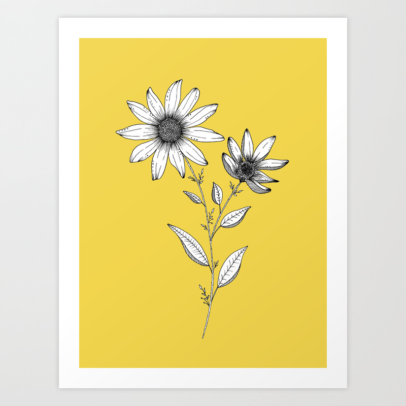 Wildflower Line Drawing Botanical Art Art Print By Ccartstudio Society6