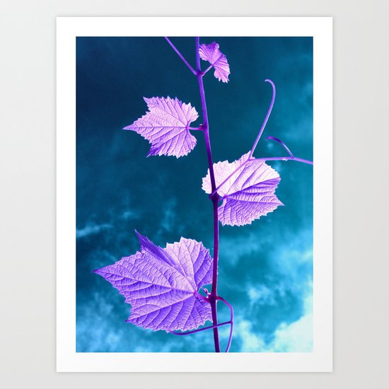 violet wine leafs II Art Print