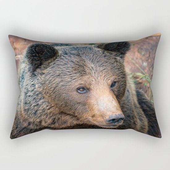 bear fur pillow