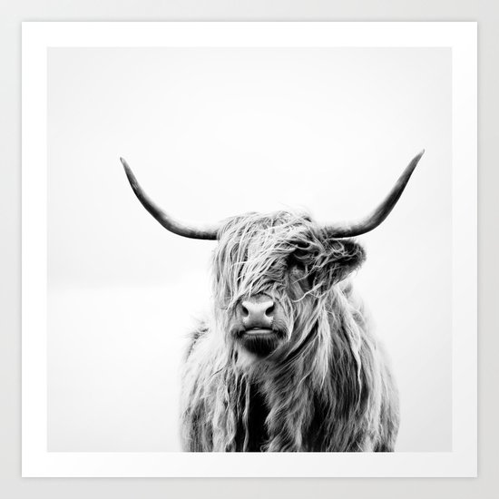 portrait of a highland cow Art Print