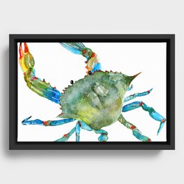 Watercolor Atlantic Blue Crab Framed Canvas