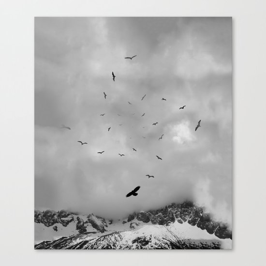 Sacred Flight Canvas Print