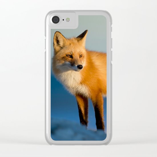 fox Clear iPhone Case
