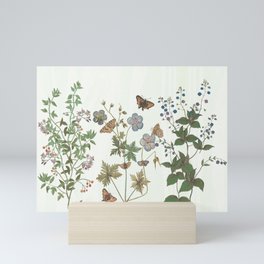The fragility of living - botanical illustration Mini Art Print