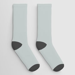 Light Gray Solid Color Pantone Sky Gray 14-4504 TCX Shades of Blue-green Hues Socks
