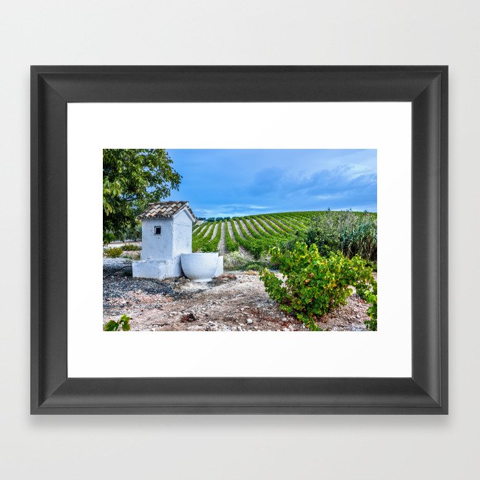 Rows of grapes in a vineyard in Andalusia Framed Art Print