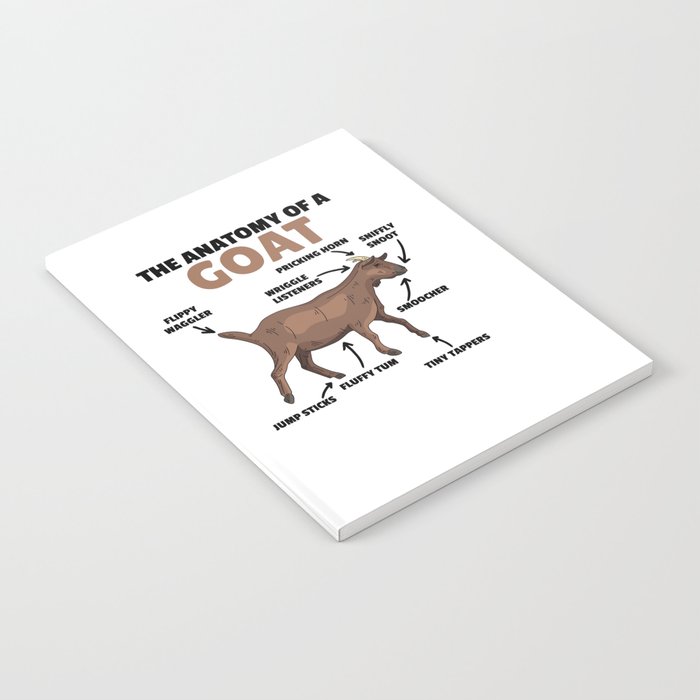 Anatomy Of A Goat Cute Goats Explanation Notebook
