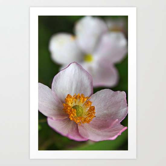 Pretty in Pink Art Print