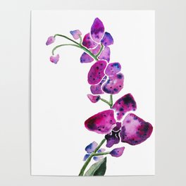 Purple Orchids Poster