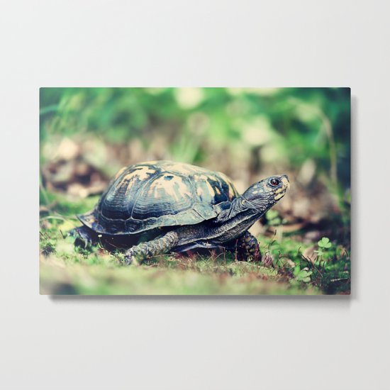Slowpoke Metal Print