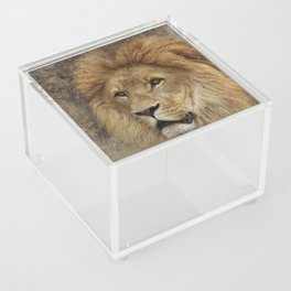 King Acrylic Box