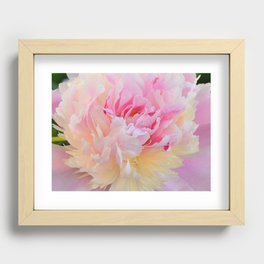 Joy of a Peony by Teresa Thompson Recessed Framed Print