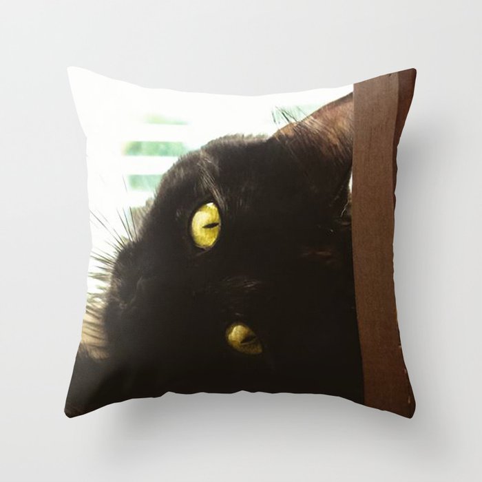 Curious Kitty Throw Pillow