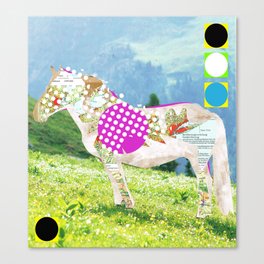 Crazy Horses · Schimmel mit Punkten Canvas Print